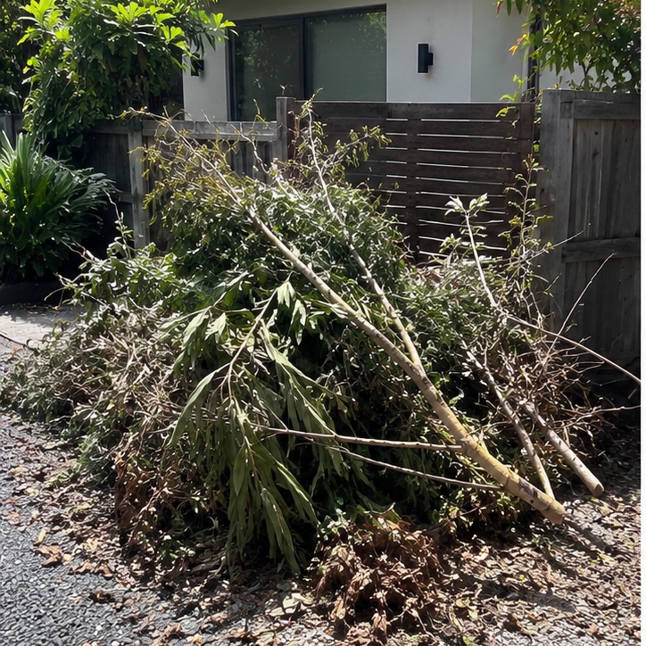 Pile of branches and garden green waste ready for removal